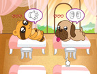 Gestao-de-salao-de-massagem-canina